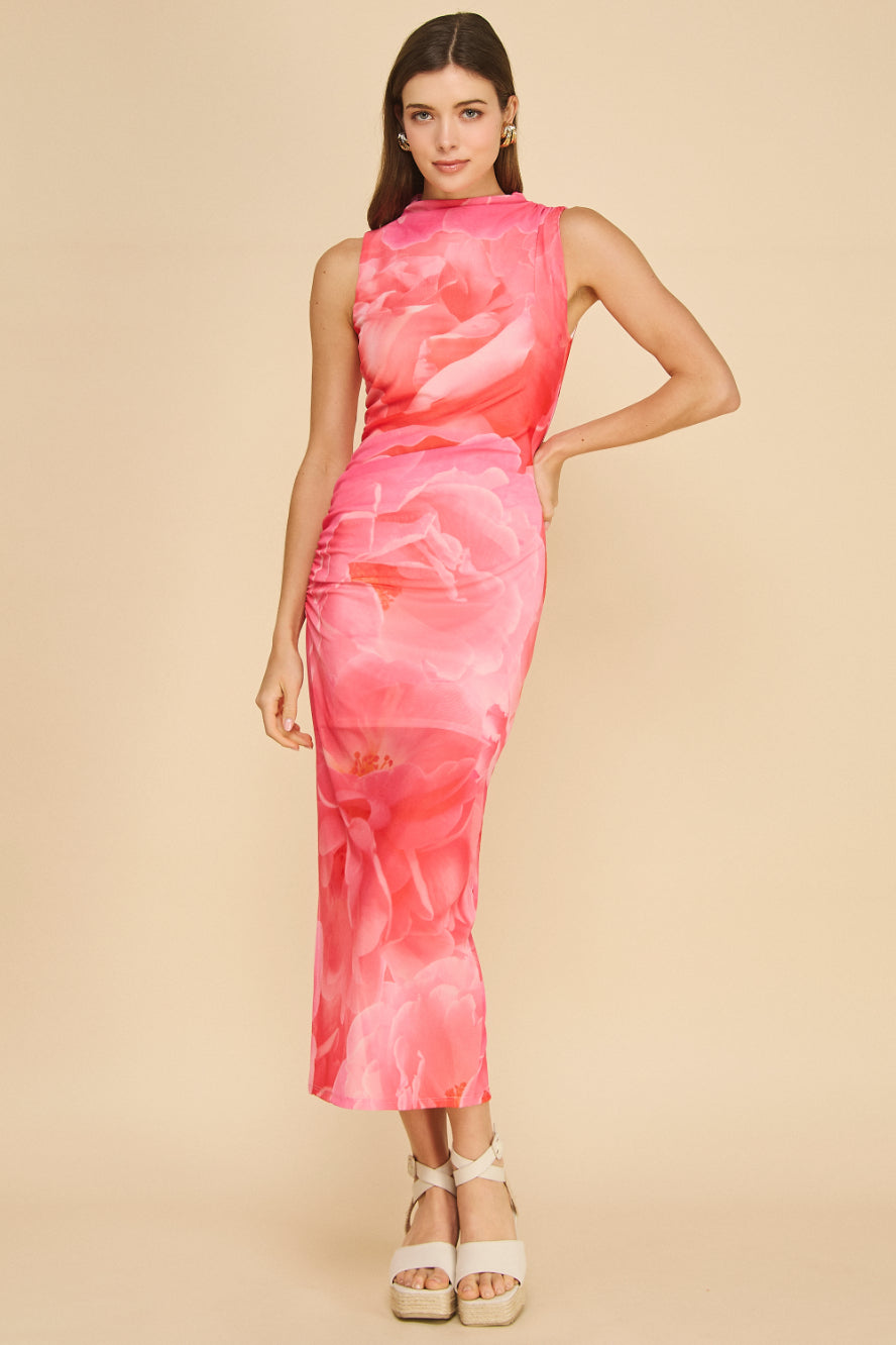 Rayne Mesh Dress