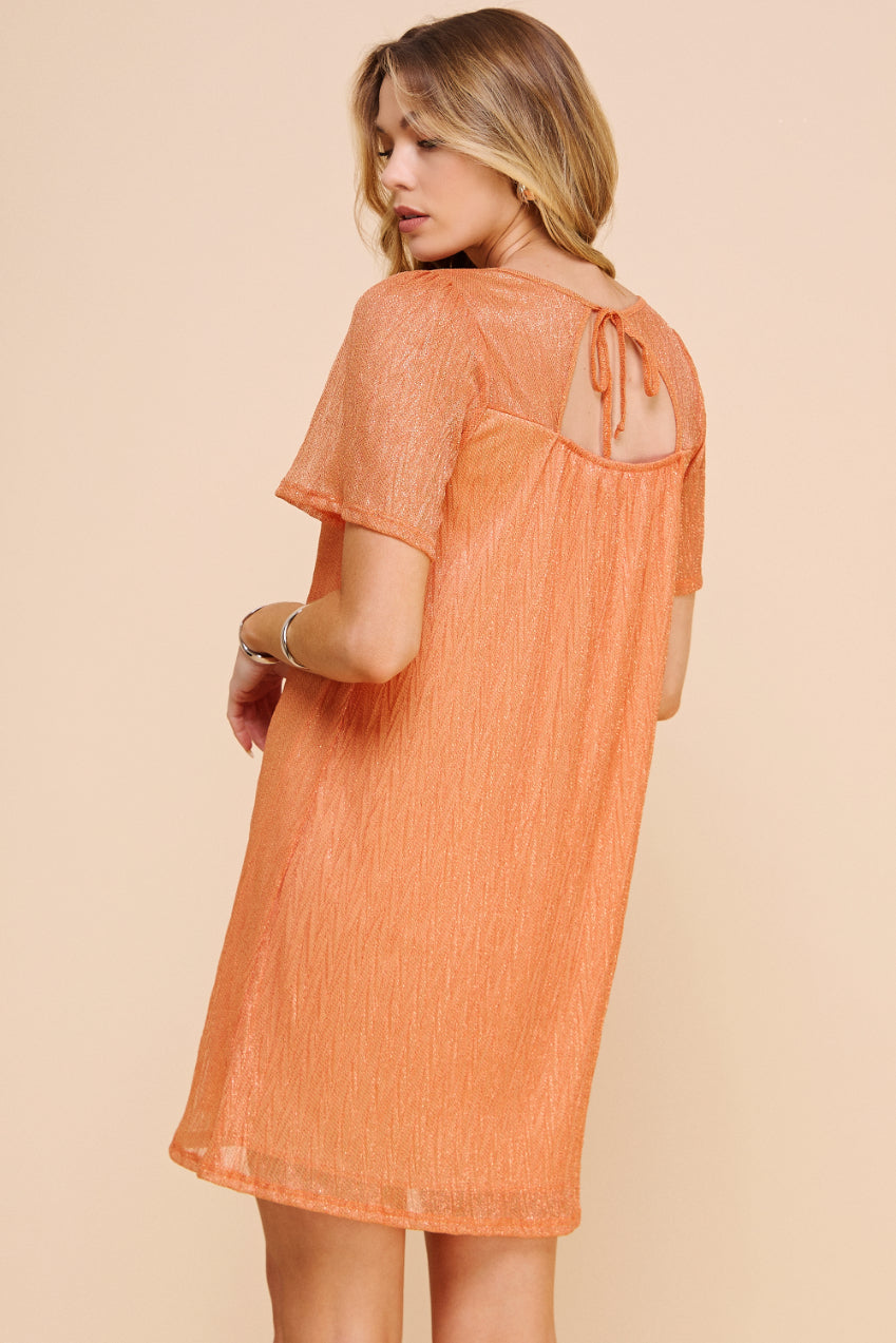Pleated Knit Ombré Dress