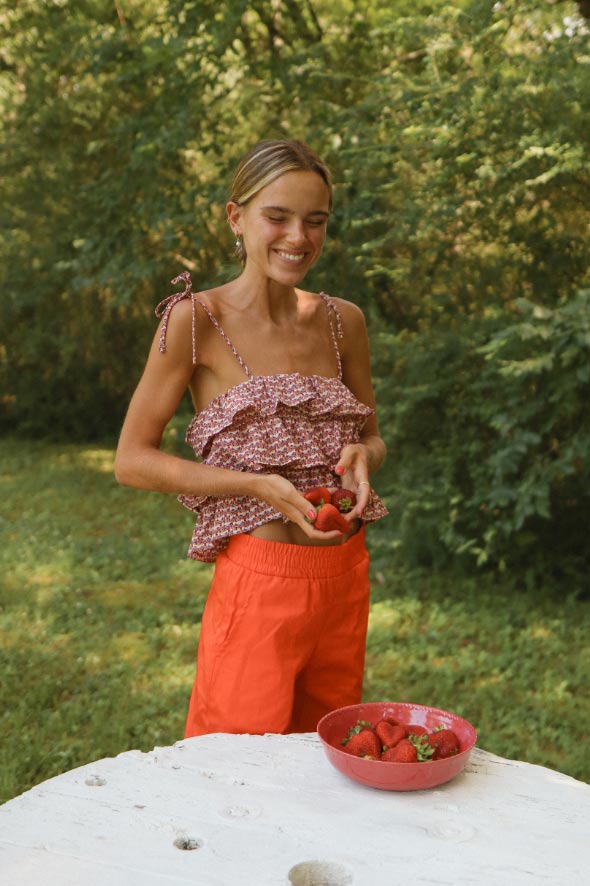 Dianthus Ruffled Top