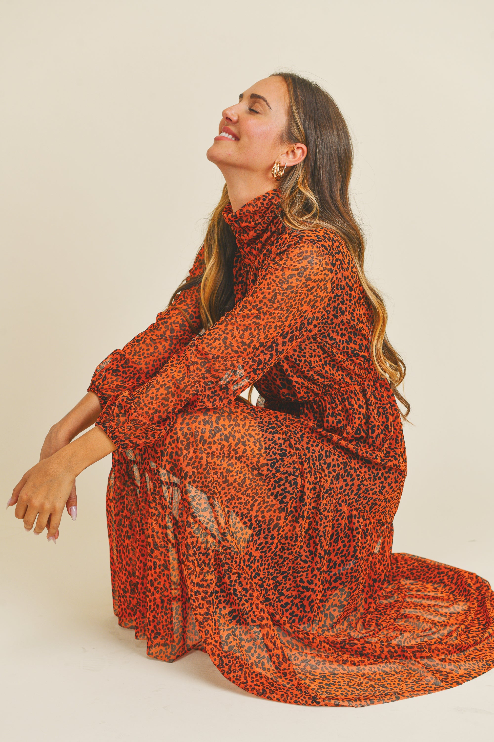 Animal Print Mesh Dress