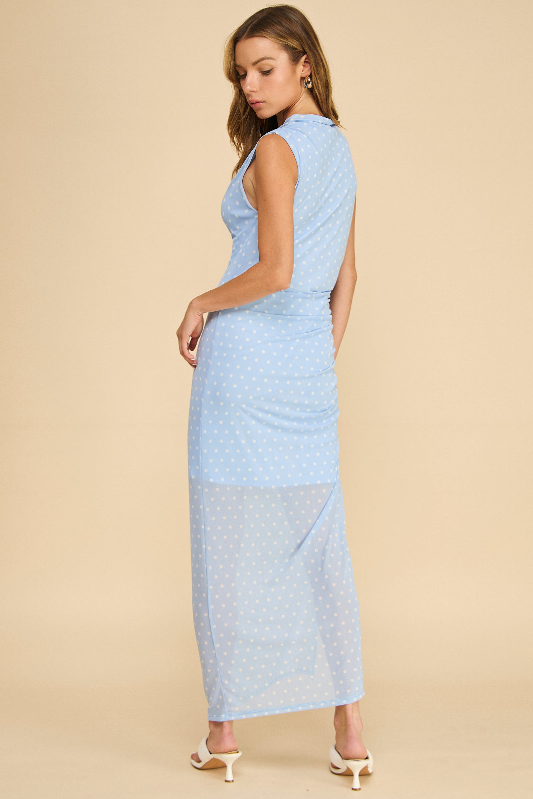 Rayne Mesh Dress