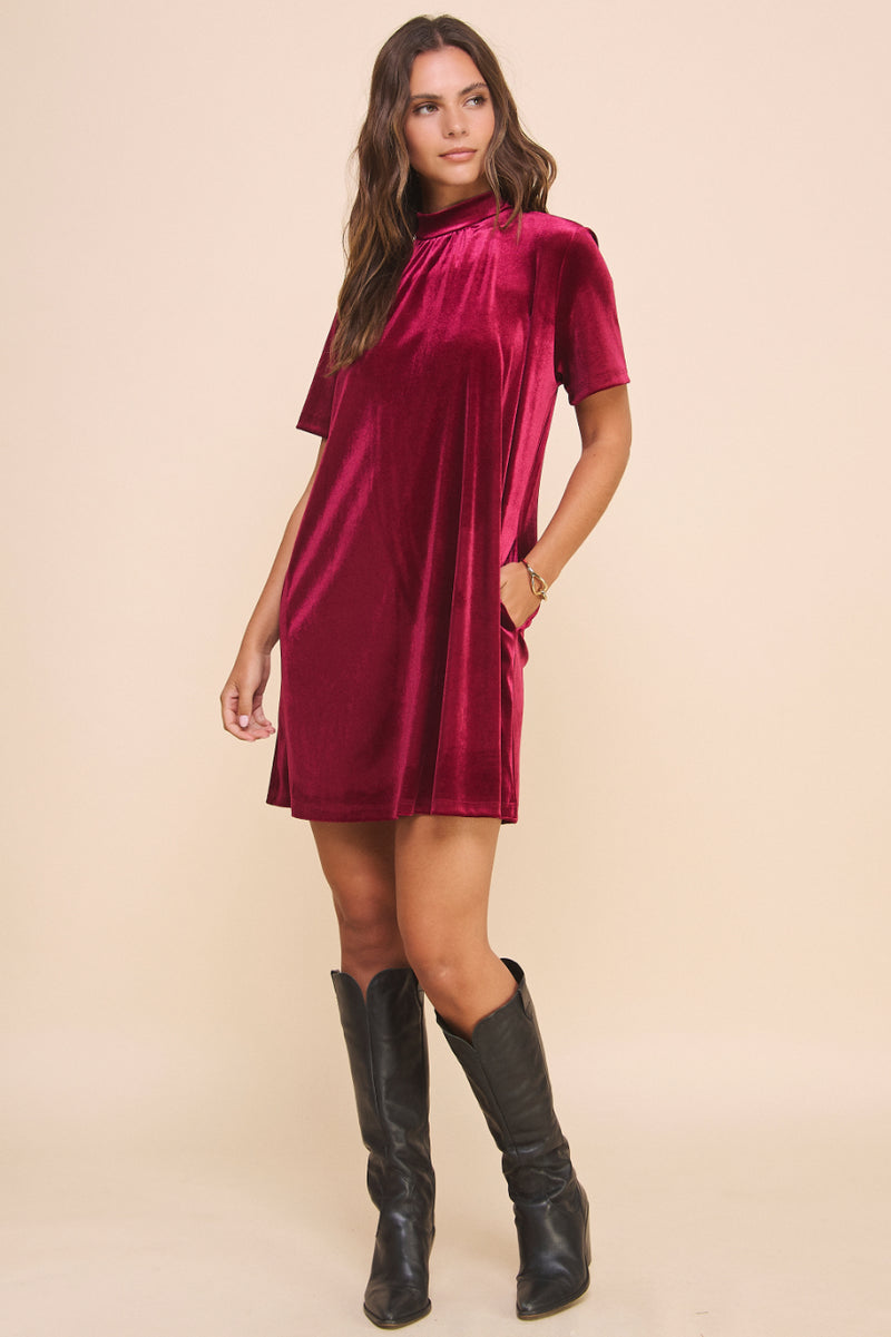 Natalie Velvet Dress