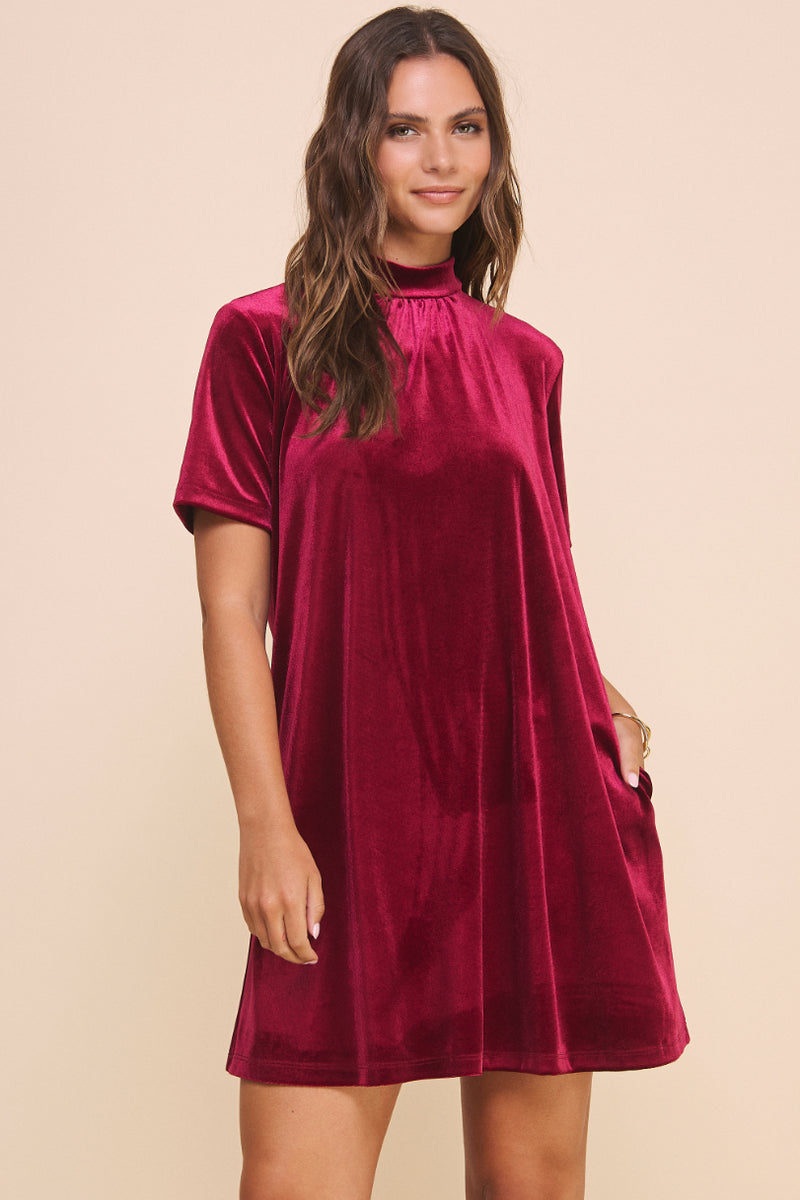 Natalie Velvet Dress