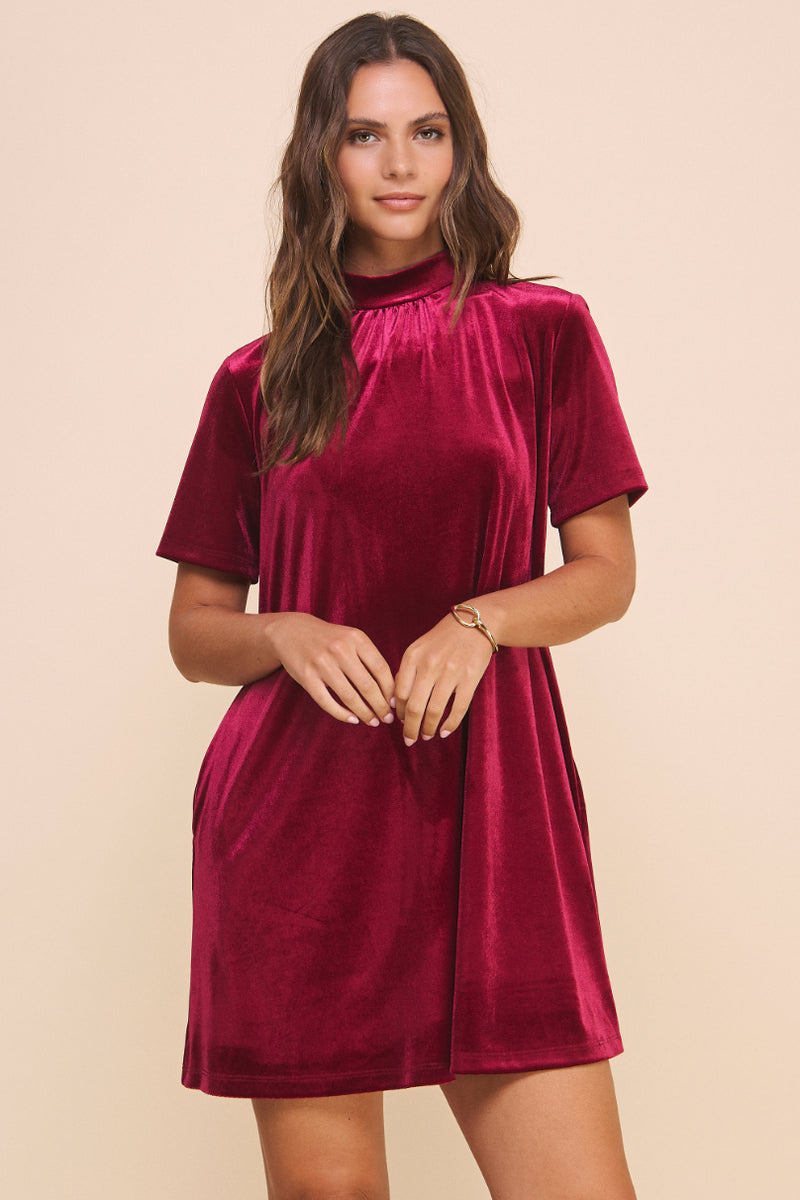 Natalie Velvet Dress