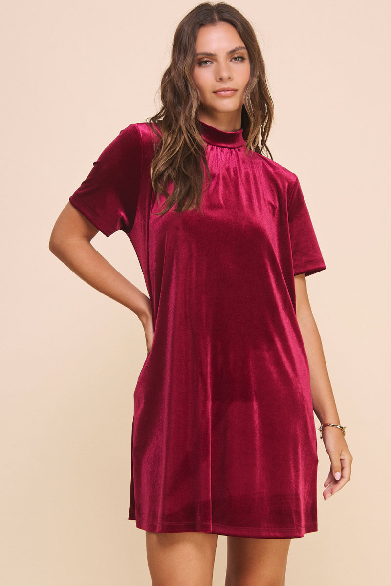 Natalie Velvet Dress