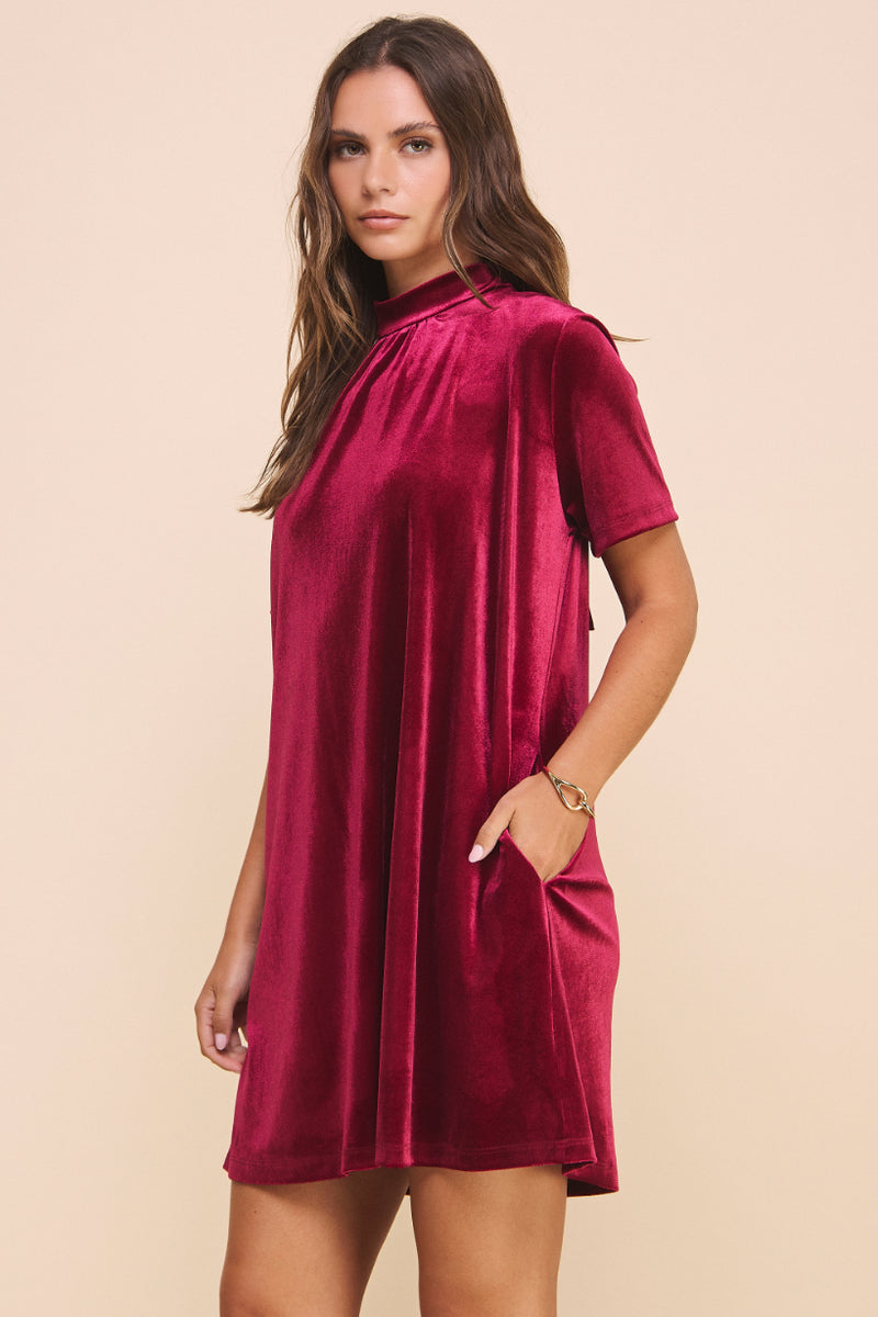 Natalie Velvet Dress