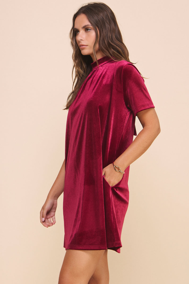 Natalie Velvet Dress