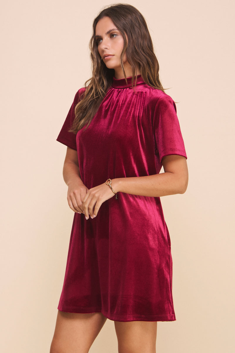 Natalie Velvet Dress