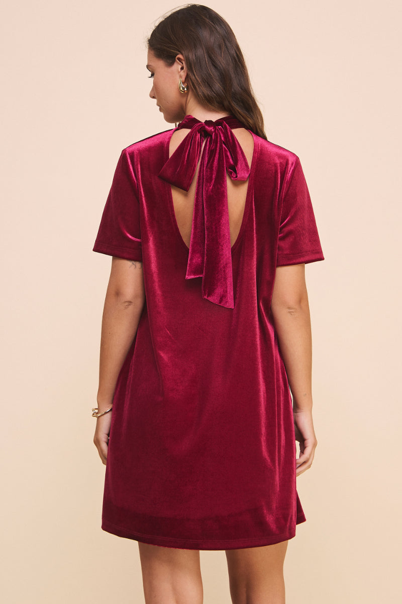 Natalie Velvet Dress