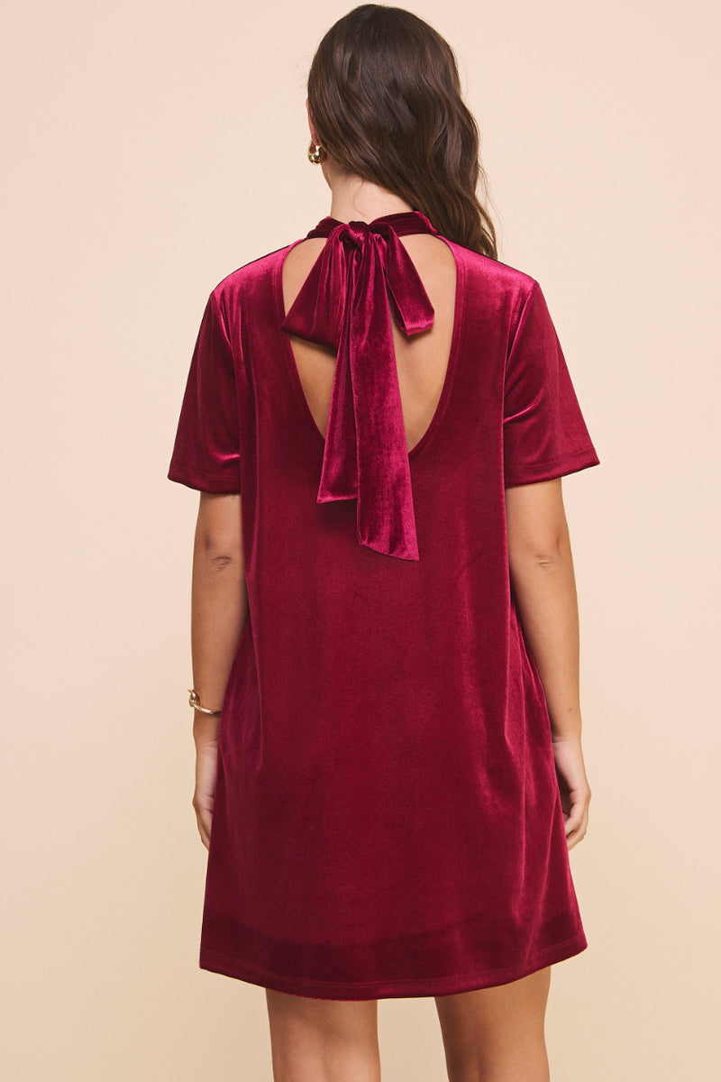 Natalie Velvet Dress