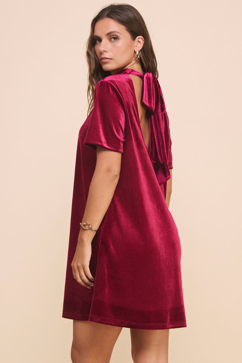 Natalie Velvet Dress