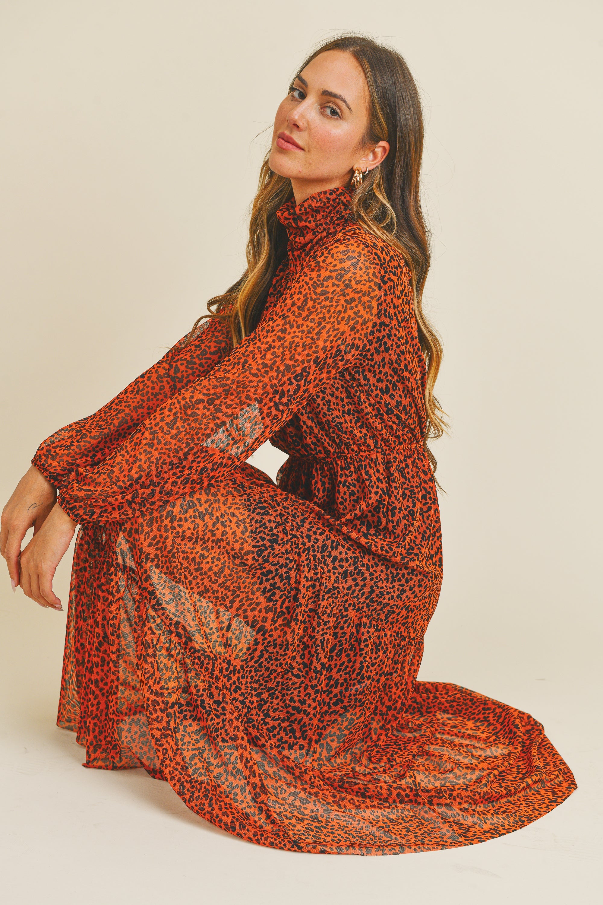 Animal Print Mesh Dress