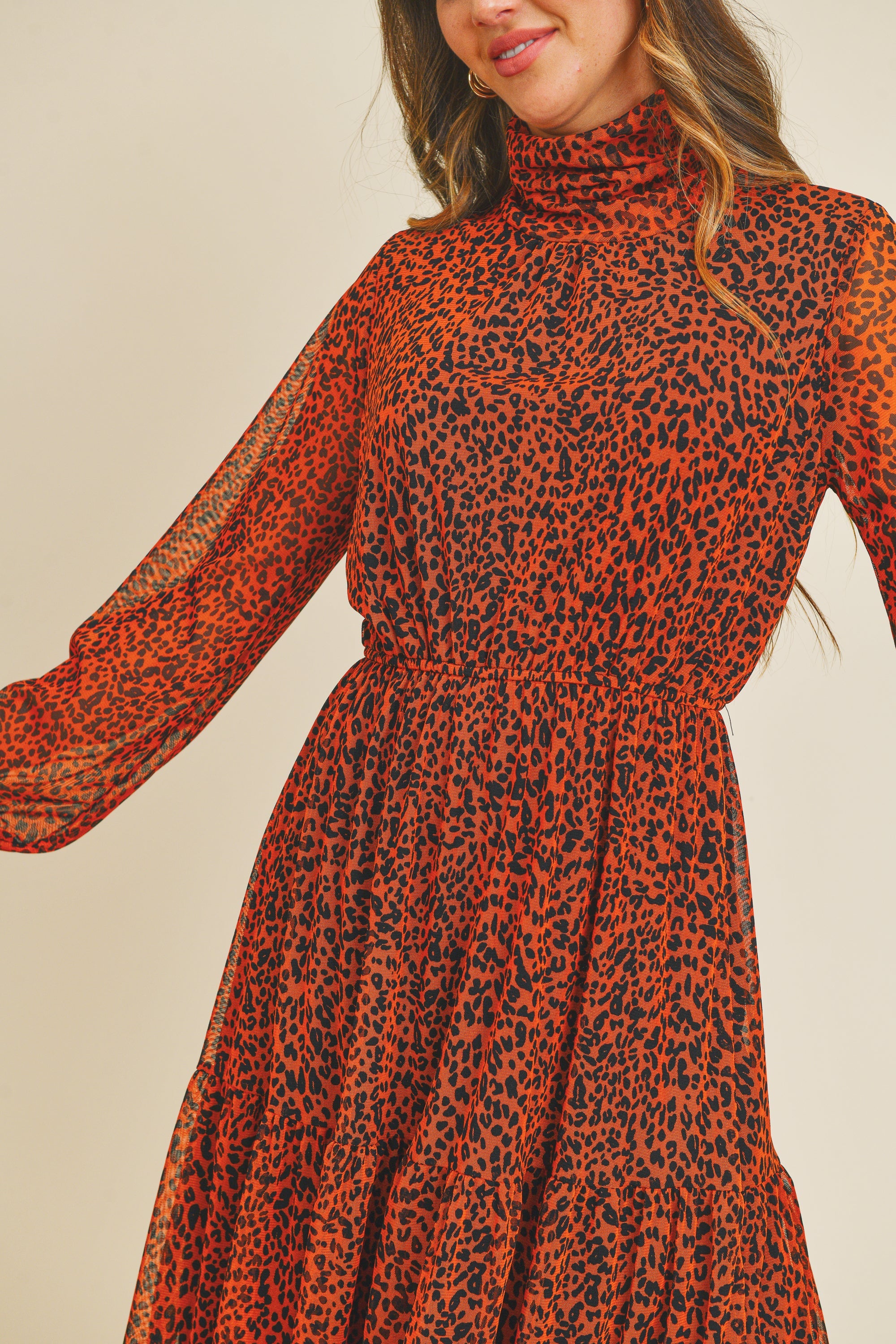 Animal Print Mesh Dress